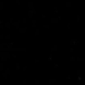 Meet your Posher, Alinna